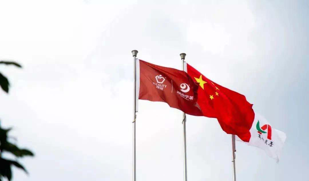 九游娱乐官方-瑞士队开门红，迈向胜利